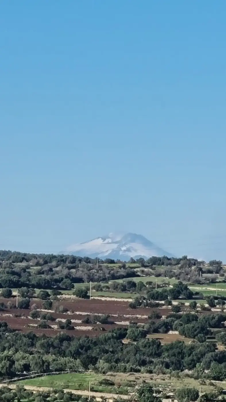 Bottega Tommasso — residency — November 2024 — Canicattini Bagni, Sicily, Italy — with Anto Metzger, Célia Joumard, Izabele Sukaite, Ludovic Lalliat… — photo 3 of 32 — Distance Press
