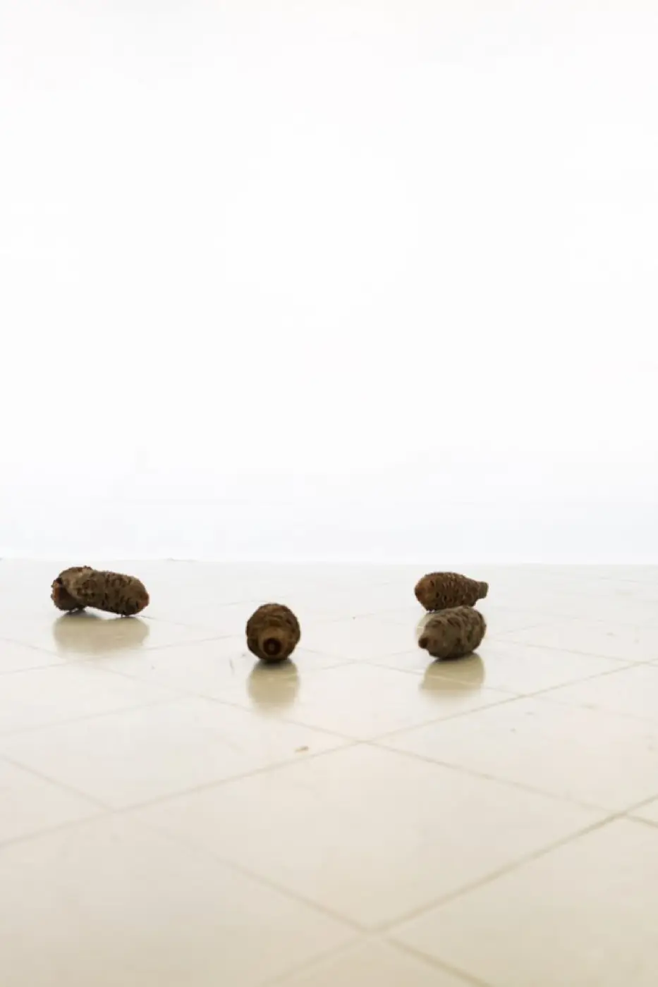 Pro šešėlius — résidence — septembre 2024 — Mézin, Nouvelle-aquitaine, France — avec Aiste Marija Stankevičiūtė, Amentia Siard Brochard, Arslane Smirnov, Faustine Duval… — photo 48 sur 49 — Distance Press