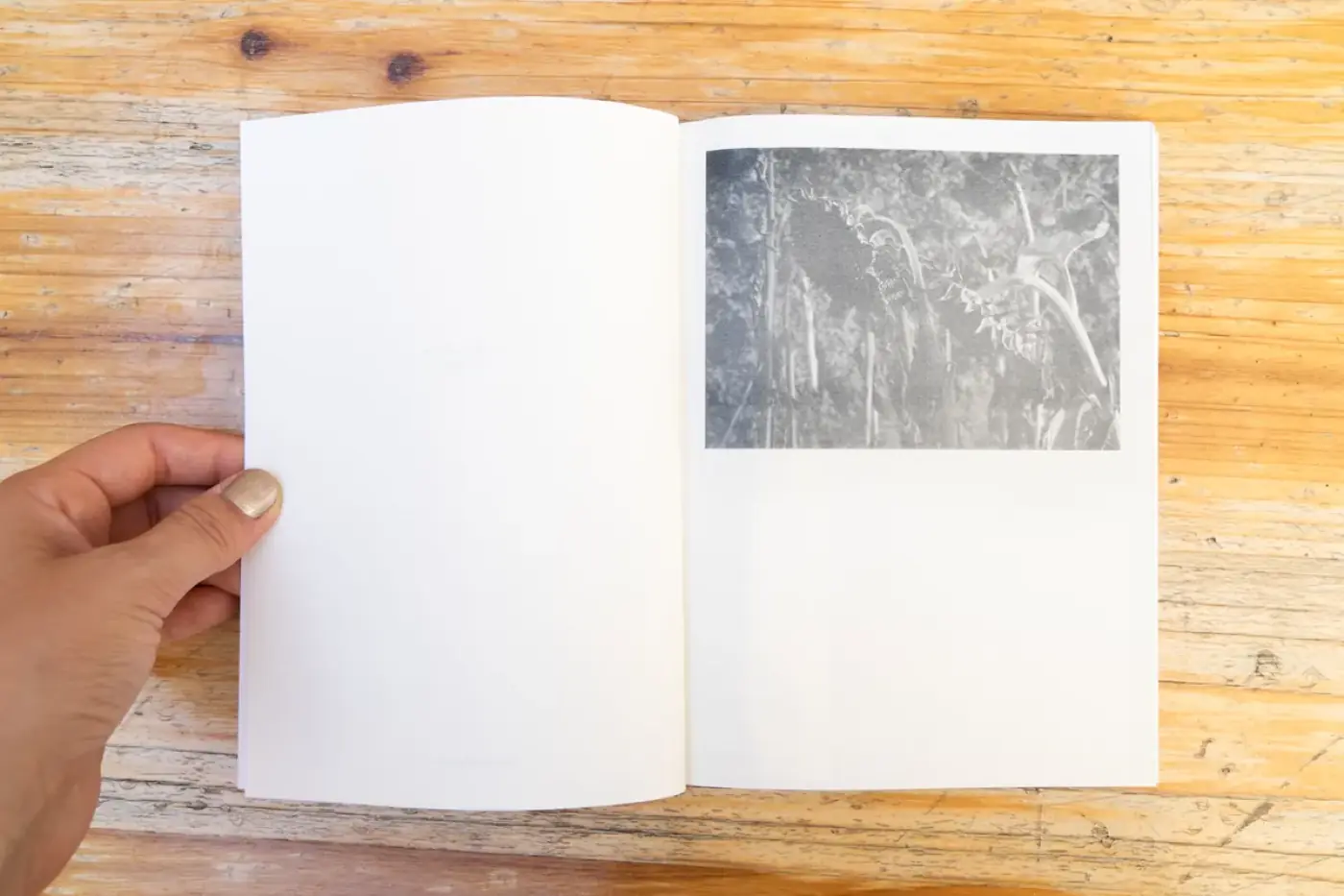 Shadow casting compilation — livre — octobre 2025 — avec Aiste Marija Stankevičiūtė, Amentia Siard Brochard, Arslane Smirnov, Faustine Duval… — photo 2 sur 17 — Distance Press