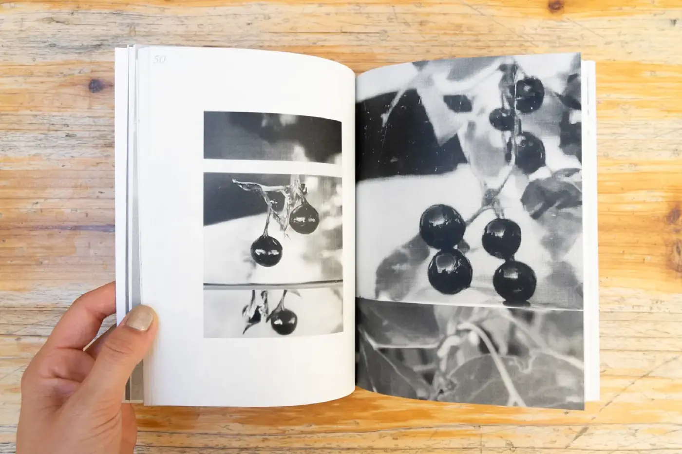 Shadow casting compilation — livre — octobre 2025 — avec Aiste Marija Stankevičiūtė, Amentia Siard Brochard, Arslane Smirnov, Faustine Duval… — photo 12 sur 17 — Distance Press